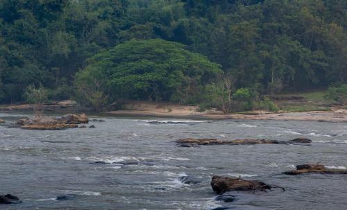 Hotel Quiet By The River- Cgh Earth