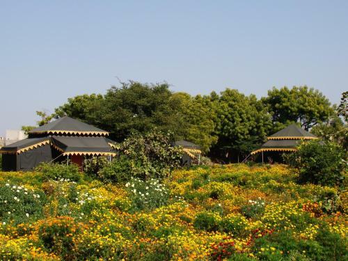 Hotel Orchard Pushkar