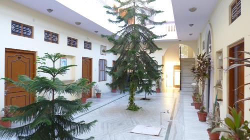 Bed & Breakfast Keshav Palace