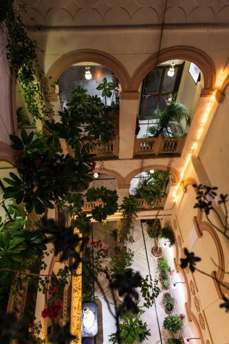 Hotel Kanhaia Haveli