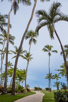 Hotel Velero Beach Resort