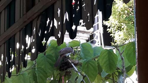 Hostal Home Baan Chiang Mai