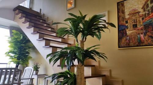 Apartamentos Penthouse Galare Thong Tower