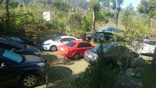 Dao Xiang Village B&B