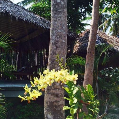Hotel Thiwson Beach Resort