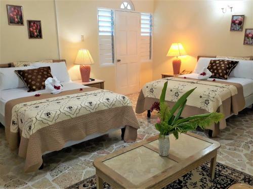 Hostal Paradise Inn