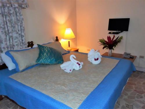 Hostal Paradise Inn