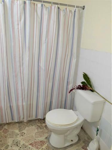 Hostal Paradise Inn