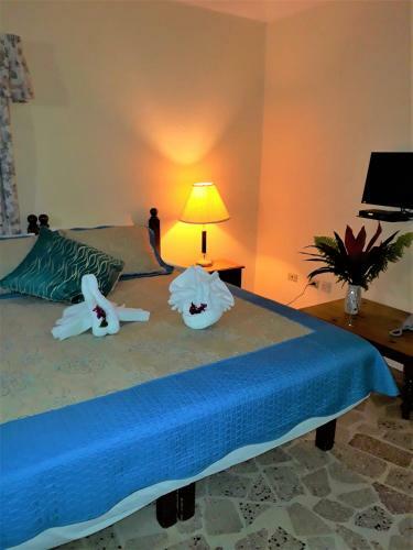 Hostal Paradise Inn