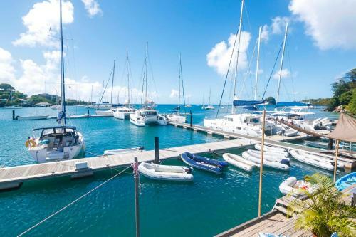 Blue Lagoon Hotel And Marina Ltd