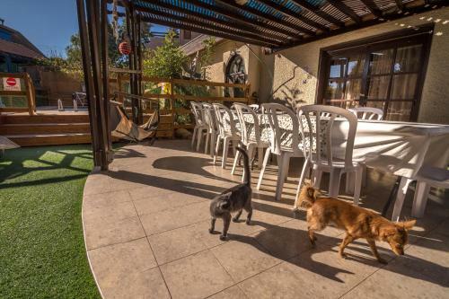 Hostal Desert Bird Guest House