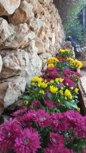 Magic Hadafna Apartments