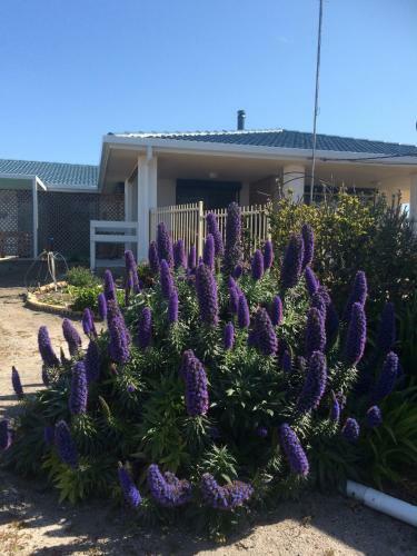 Salty Air Apartments Kingscote Kangaroo Island