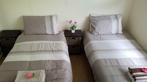 Allegro Holiday Home