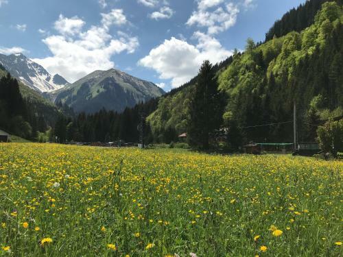 Hostal G�stehaus Baldauf