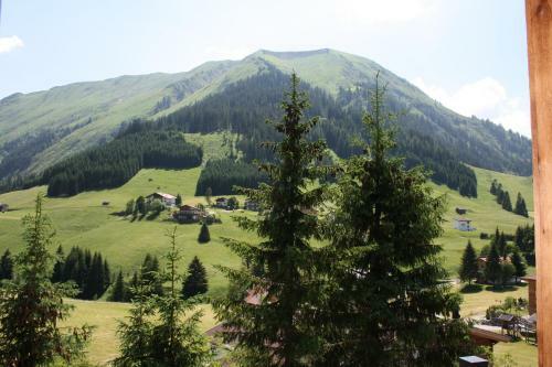 Apartamento Wiesenhof
