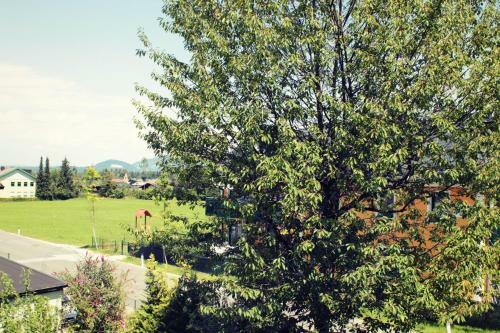 Posada Gasthof F�rstenbrunn