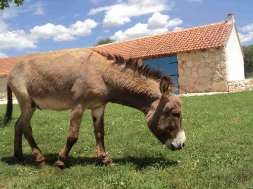 Agroturismo Country House Mari?a Gaj