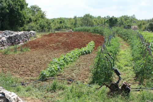 Agroturismo Country House Mari?a Gaj