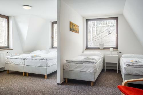 Hotel Konopi?t? Nov� Myslivna