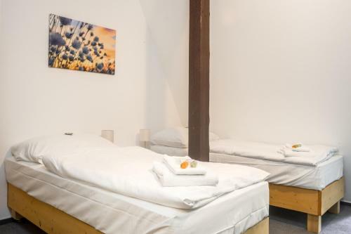 Hotel Konopi?t? Nov� Myslivna