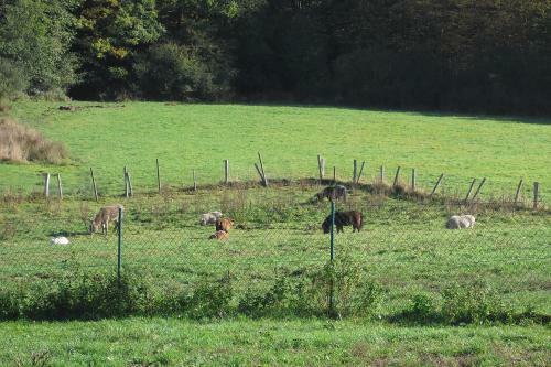 Agroturismo La Ferme De Werpin