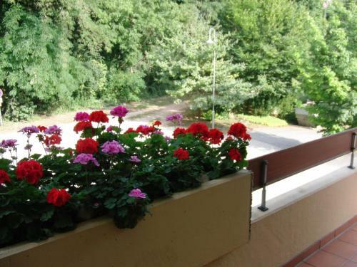 Apartamentos Appartementhaus Im Gr�n