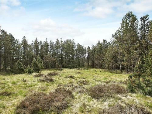 Three-bedroom Holiday Home In Jerup 14