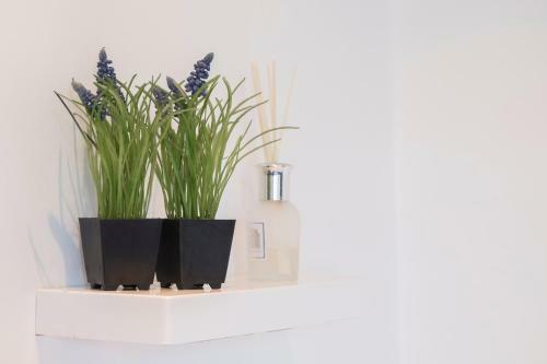 Agroturismo Troldegaarden B&B