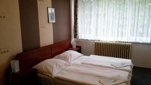 Hotel Zimn� Stadion N�chod