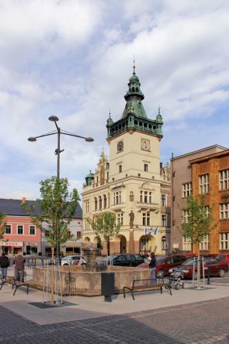 Hotel Zimn� Stadion N�chod