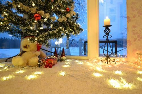 Villa Lepp�kerttu