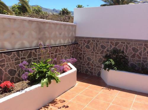 Apartamento La Palmita De Canarias
