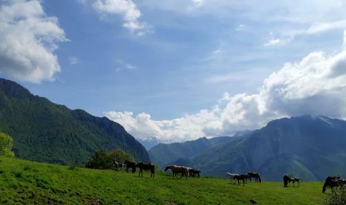 Chalet Des Ecuyers
