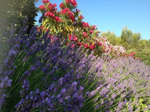 Bed & Breakfast Les Lavandes
