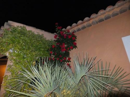 Bed & Breakfast Les Lavandes