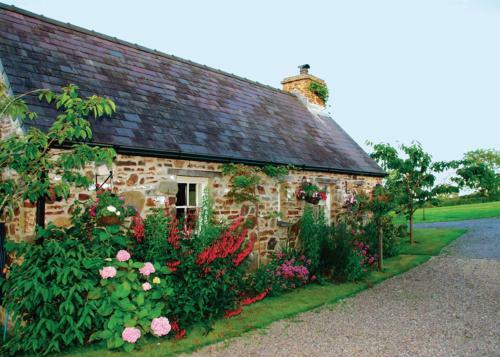 Primrose Cottage III