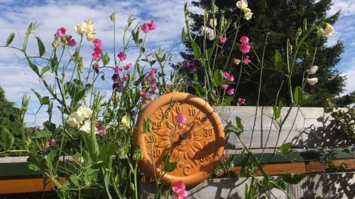 Bed & Breakfast Roth Ach