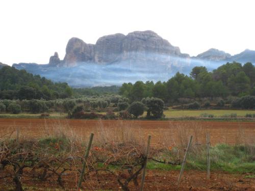 Agroturismo Lo Celler