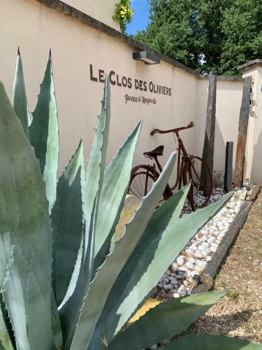 Le Clos Des Oliviers
