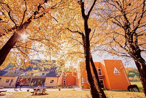 Albergue Jugendherberge Detmold