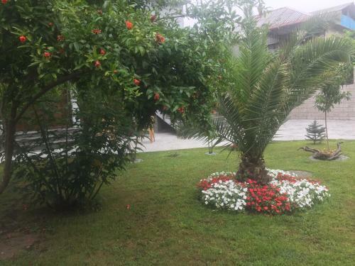 Hostal Guest House Smile