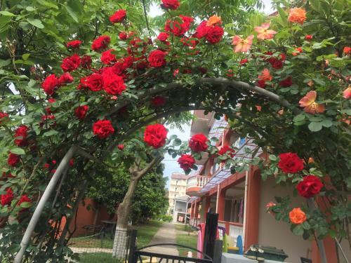 Hostal Guest House Smile