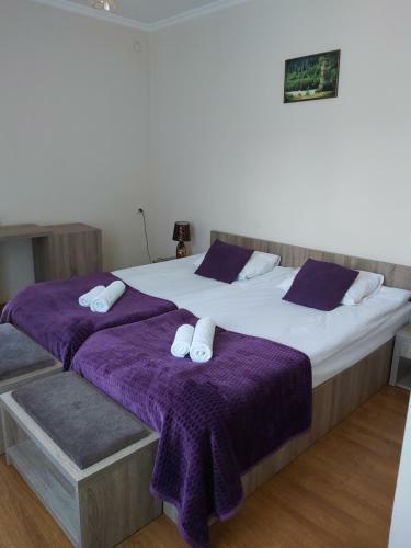 Hotel Svan House In Mestia