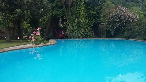 Villa Willa Batumi