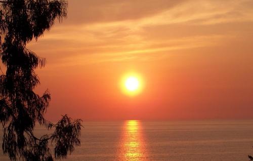 Cottage Ivane Lazika 6