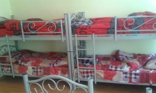 Lemon Hostel