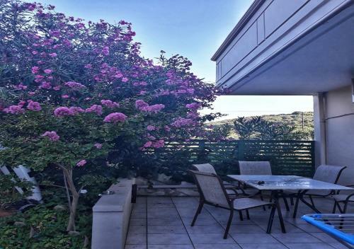 Marianna Apartments