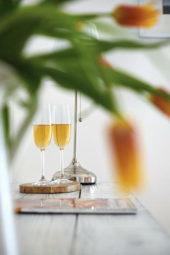 Bed & Breakfast Villa Millennium Panzi�