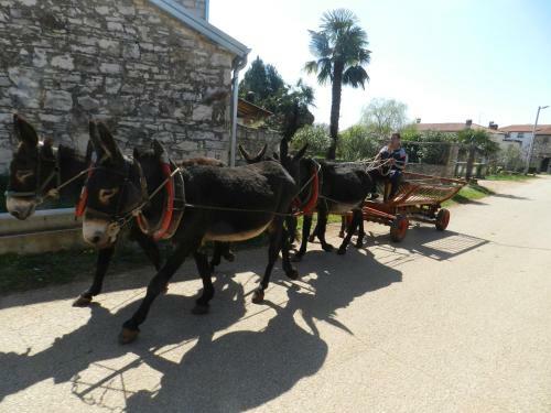 Bed & Breakfast Ranch Radin